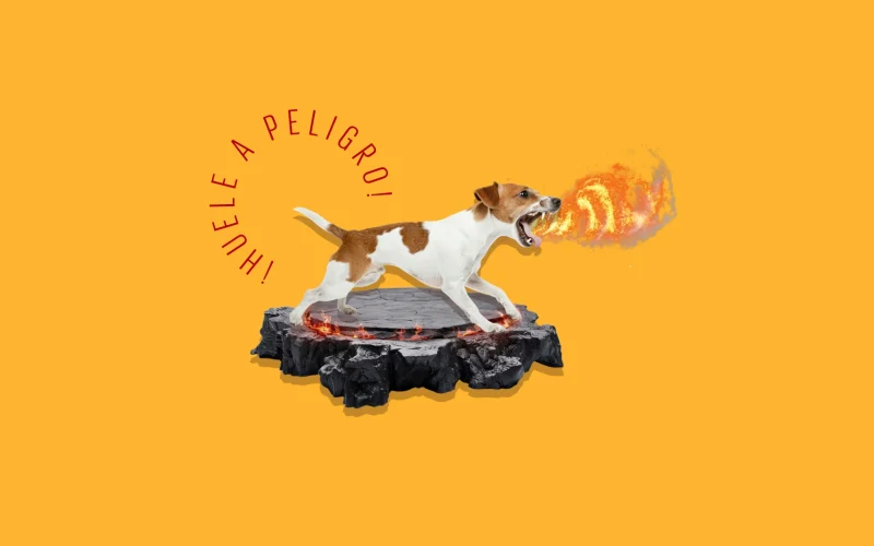 ¡Huele a peligro! ¿Por qué le caes mal a mi perro?