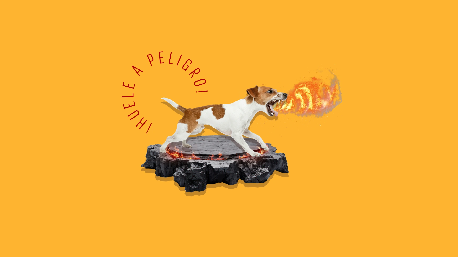 ¡Huele a peligro! ¿Por qué le caes mal a mi perro?
