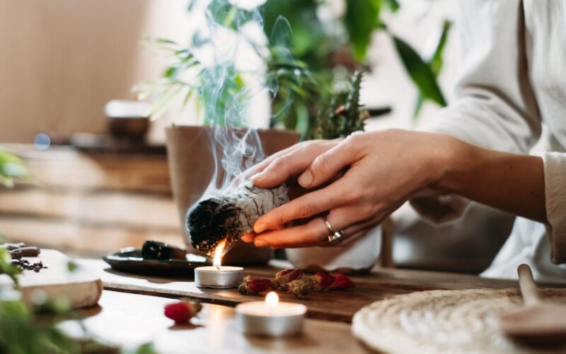 ¿Qué son las plantas “bruja”? Las mejores para hacer rituales de abundancia