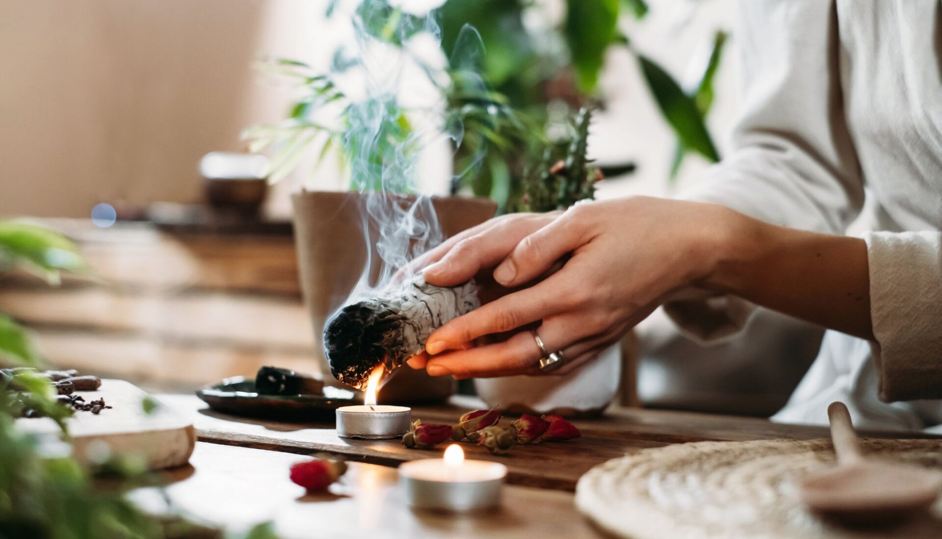 ¿Qué son las plantas “bruja”? Las mejores para hacer rituales de abundancia