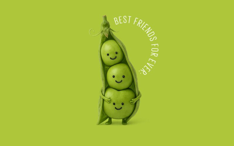 Best friends for ever: Tipos de amigos que debes tener en la vida