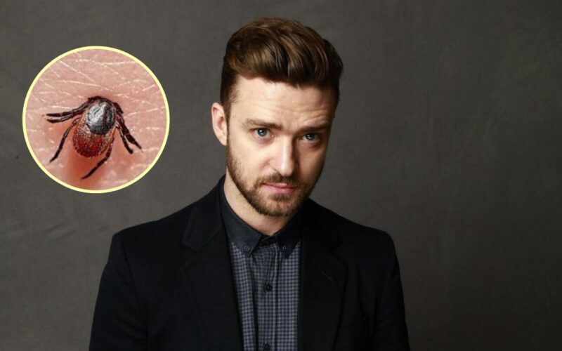 ¿Qué es el Lyme? La enfermedad de Justin Timberlake