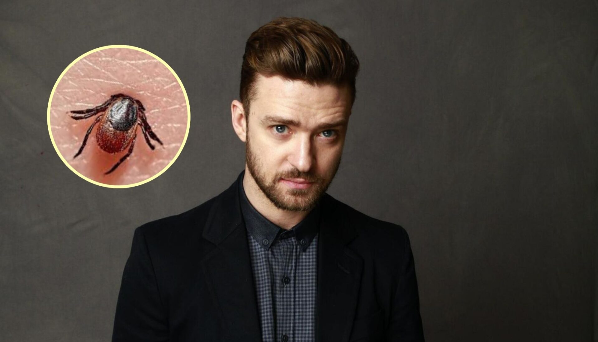 https://www.revistamoi.com/wp-content/uploads/2025/08/lyme-enfermedad-de-justin-timberlake.jpg