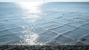 ¿Qué son las olas cuadradas en el mar y por qué son tan peligrosas?