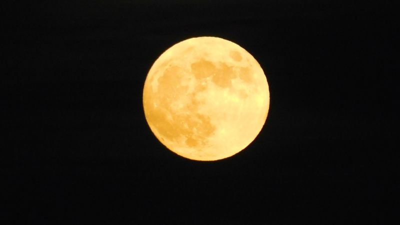 Luna del castor noviembre 2025 ¿Cómo te pega su energía?