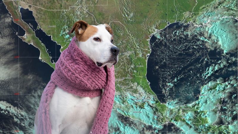 ¡Alerta morada! Agárrate porque habrá 50 frentes fríos