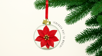 ¿Donde poner la noche buena según Feng Shui?  ¡Energía haz tu magia!