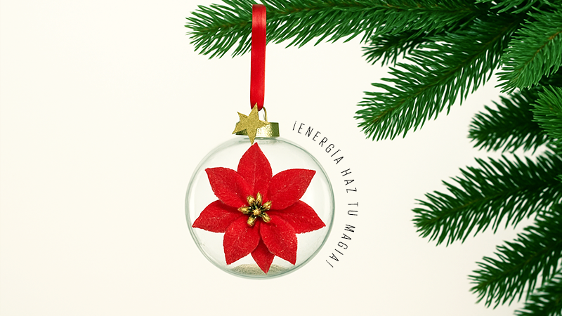 ¿Donde poner la noche buena según Feng Shui?  ¡Energía haz tu magia!