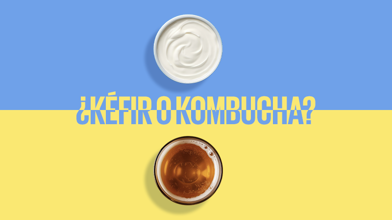 ¿Kéfir o Kombucha? ¿Cuál es mejor para tu digestión?
