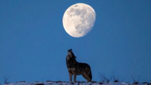 Luna Fría de diciembre ¡Haz un ritual de cierre de energías!