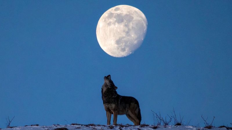 Luna Fría de diciembre ¡Haz un ritual de cierre de energías!