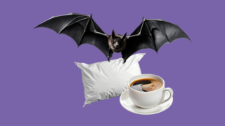 Alimentos que deberías comer diario para estar sano ¡Canasta básica!