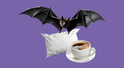 Sleep fail! ¿Cómo sobrevivir a una mala noche de sueño?