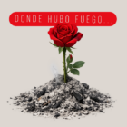 El estrés te está subiendo de peso ¿Kilitos emocionales?