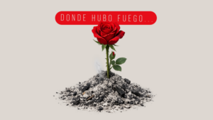 Donde hubo fuego, ¿cenizas quedan? La clave para superar a tu ex