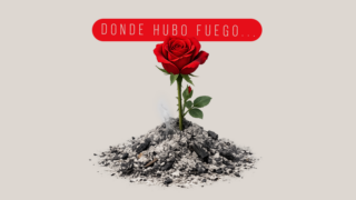 El estrés te está subiendo de peso ¿Kilitos emocionales?