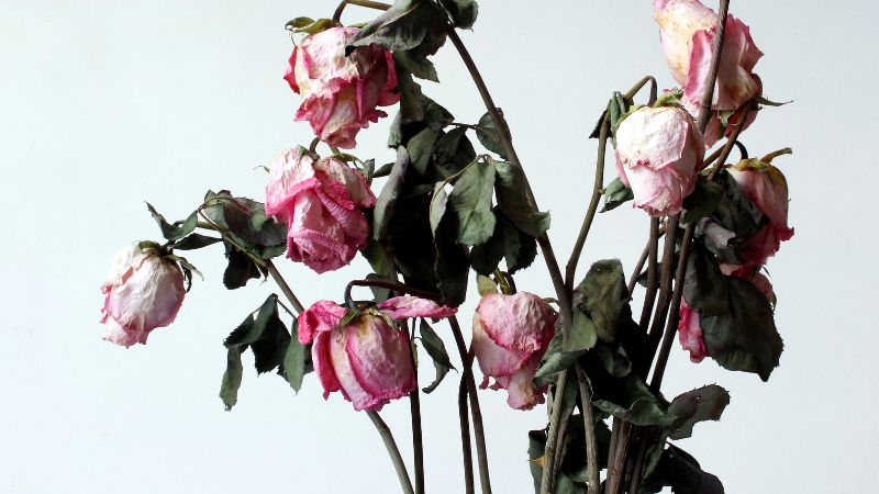 ¿Cómo pasar San Valentín si acabas de tronar?