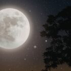 10 razones por las que te duele cooperar ¡no es normal!