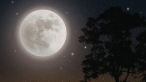 Las fases de la Luna influyen en tus relaciones