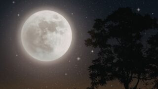 Las fases de la Luna influyen en tus relaciones