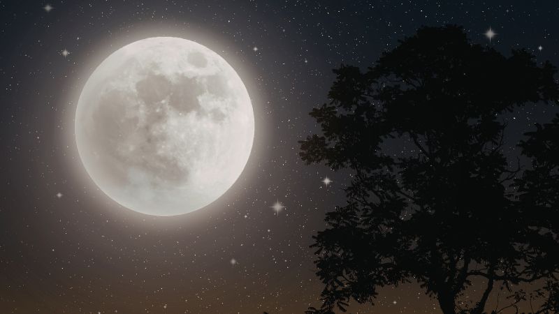 Las fases de la Luna influyen en tus relaciones