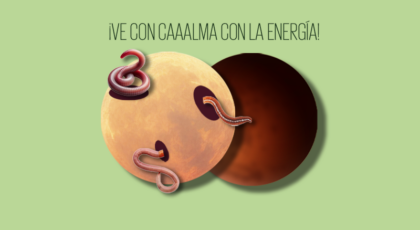 Luna de gusano 2026 + eclipse lunar ¡ve con caaalma con la energía!
