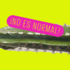 ¿Por qué crees que te ves mal en las fotos? ¡No te hace justicia!