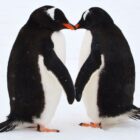 Plan de escape: ¿Qué hacer si odias tu trabajo?