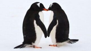 Tu relación no es un desastre, es un espejo ¡Mejora tu relación gratis con esta Masterclass!