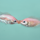 Señales de violencia que minimizamos “No es pa’ tanto”