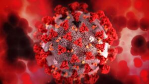 Hantavirus ¿se puede convertir en la siguiente pandemia? Un experto nos dice