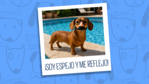 ¡Soy espejo y me reflejo! Tu perro copia tu personalidad