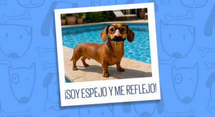 ¡Soy espejo y me reflejo! Tu perro copia tu personalidad