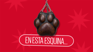 En esta esquina… ¿Qué hacer si tu perro se pelea?
