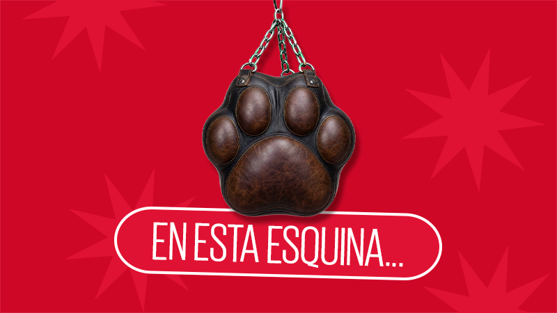 ¿Por qué sacamos un pie de la cama al dormir? ¡Esa bendita costumbre!