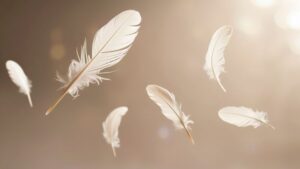 El significado espiritual de encontrarte plumas por todos lados