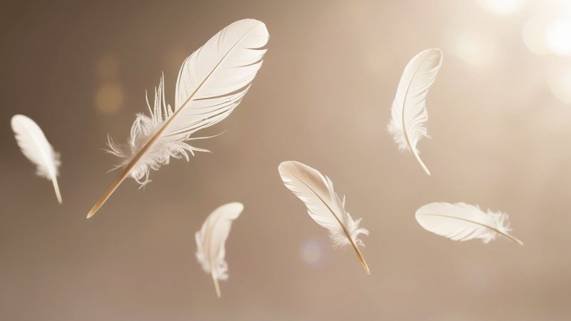 El significado espiritual de encontrarte plumas por todos lados