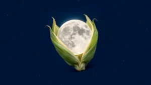 Energía de la luna de maíz en septiembre 2026 ¡cambios en la chamba!