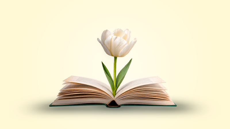 La luz al final del túnel: Libros para atravesar el duelo